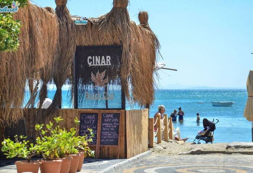 בית מלון כפרי Cinar Suite House