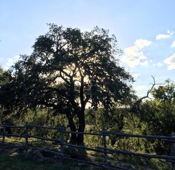 فندق ريفى Twin Elm Guest Ranch