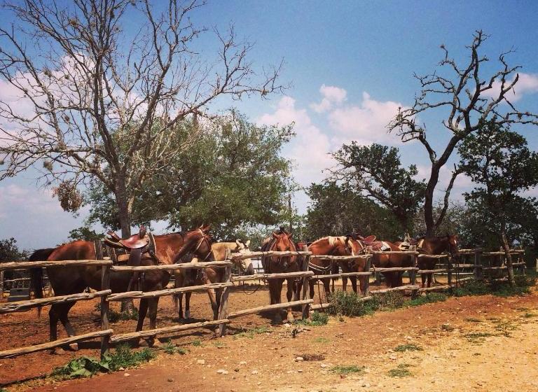 فندق ريفى Twin Elm Guest Ranch