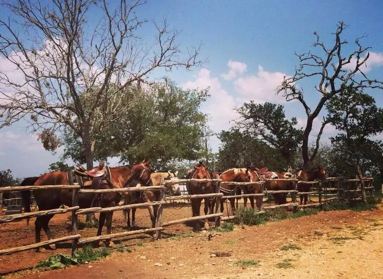 田舎風ホテル Twin Elm Guest Ranch
