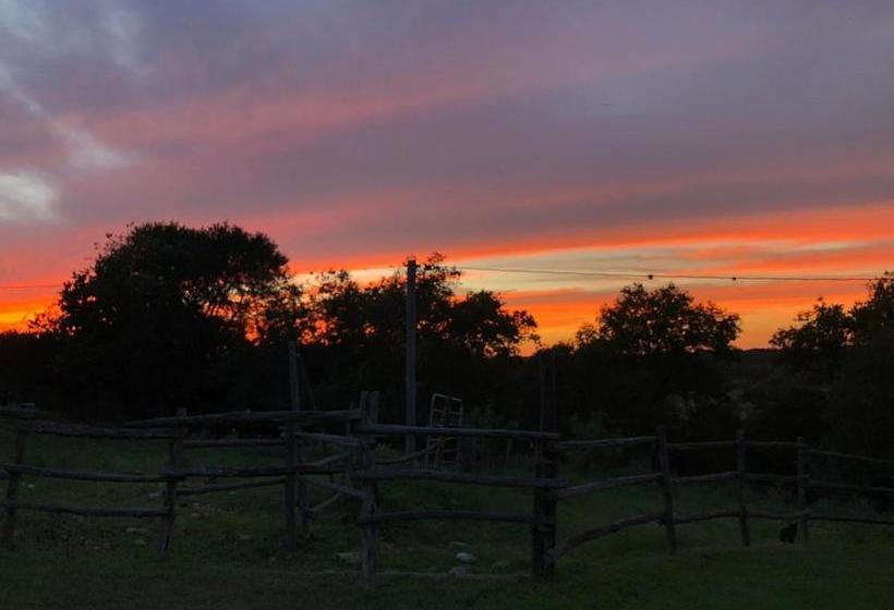 فندق ريفى Twin Elm Guest Ranch