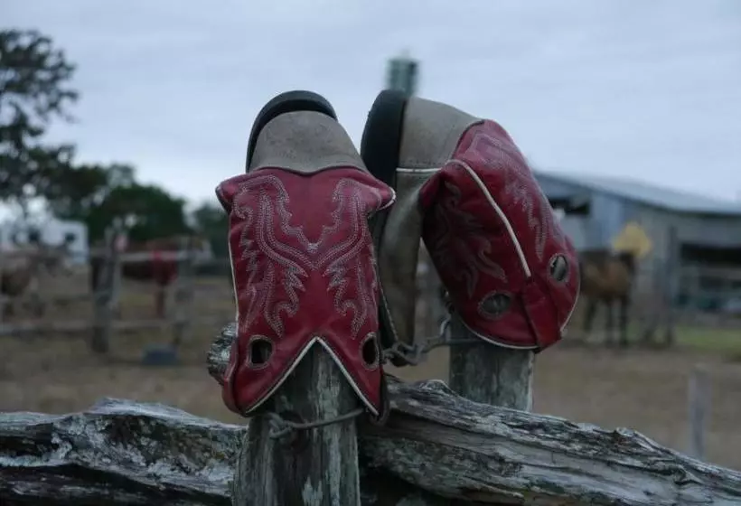 田舎風ホテル Twin Elm Guest Ranch