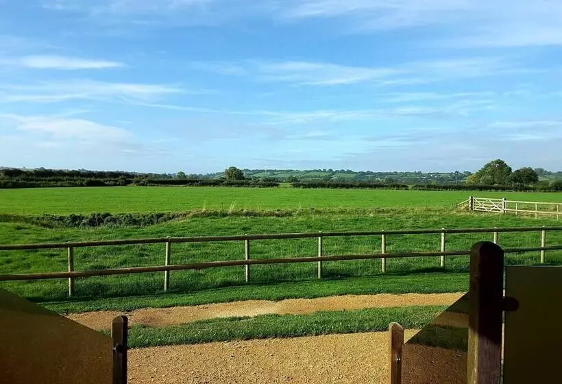 Hotelli Tor Farm Lodge