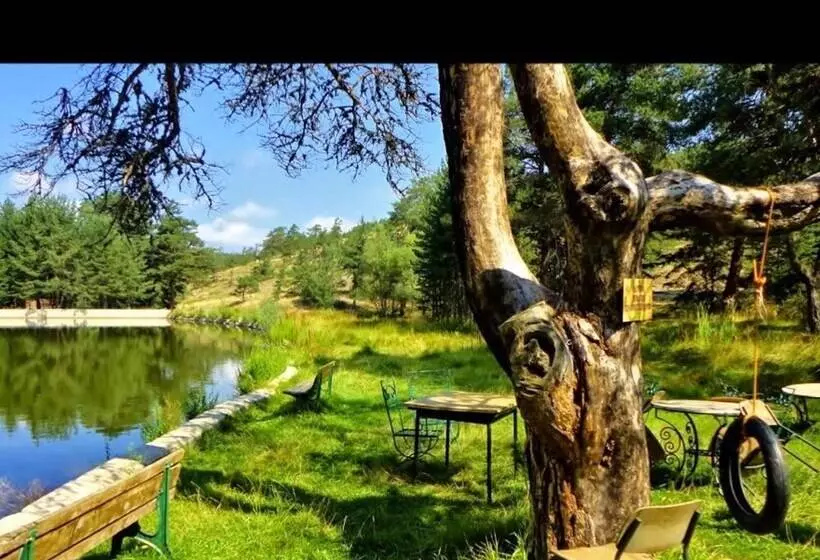 Hotelli Yayla Mocamp