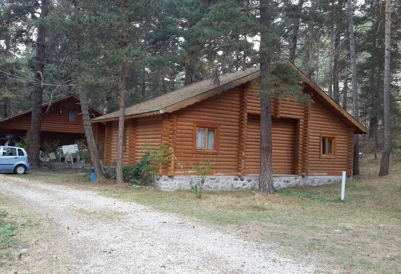 ホテル Yayla Mocamp