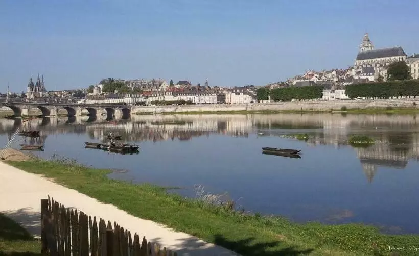 Le Relais Du Petit Lion