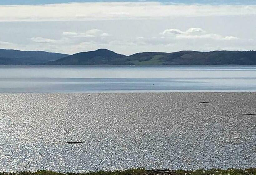 بنسيون Broomlea