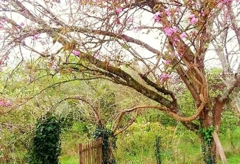 Pensió L'estanquet