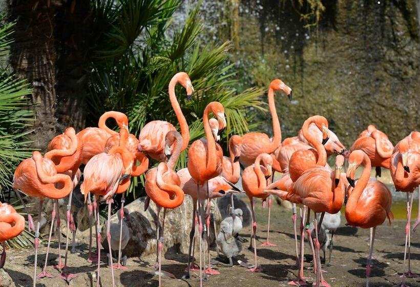 膳宿费 Logis Des Lauriers Roses