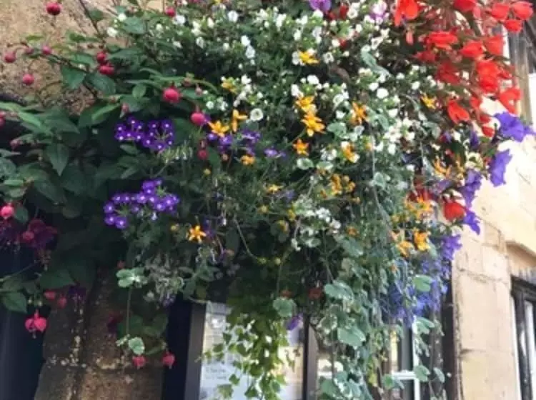 Aamiaismajoitus (B&B) Bantam Tea Rooms