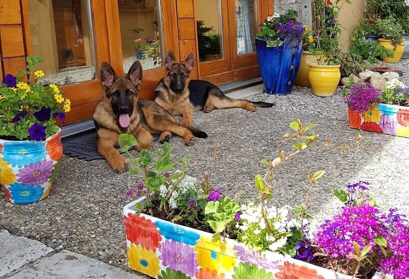 住宿加早餐 La Cocagnière In A Rural Location