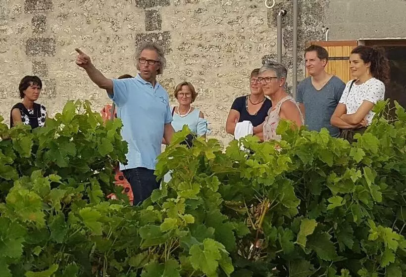 Aamiaismajoitus (B&B) Le Coeur Des Vignes