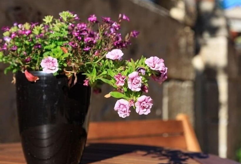 Bed and Breakfast Le Coeur Des Vignes