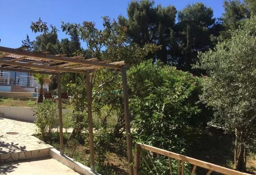 Aamiaismajoitus (B&B) Rêv De Thau