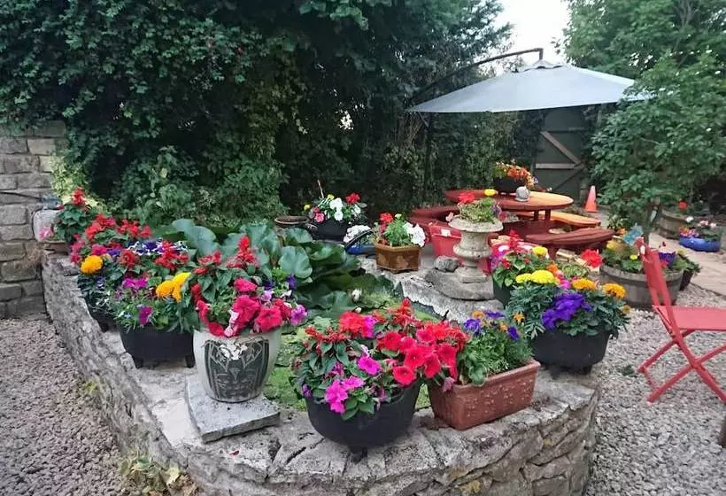 Hayleaze Bed & Breakfast