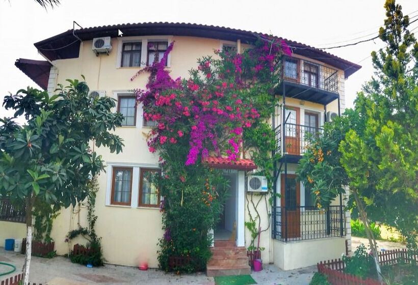 هتل Cigdem Pansiyon