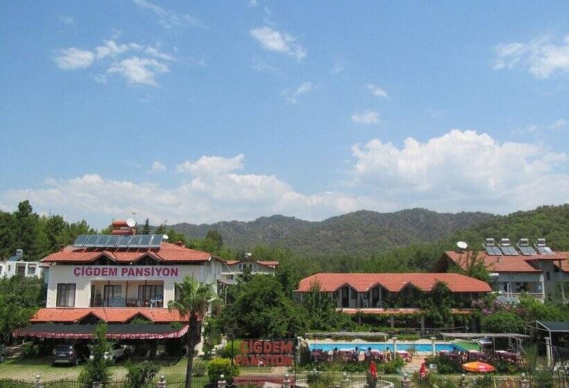 هتل Cigdem Pansiyon