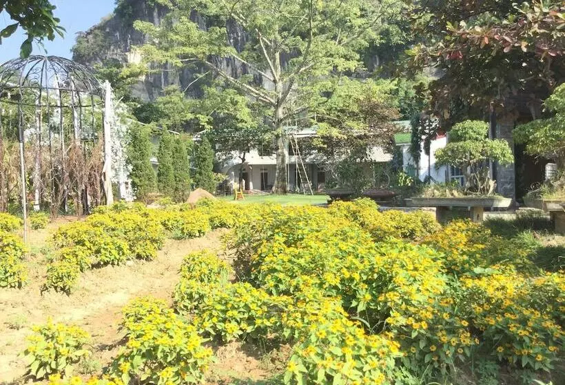هتل Trang An Secret Garden