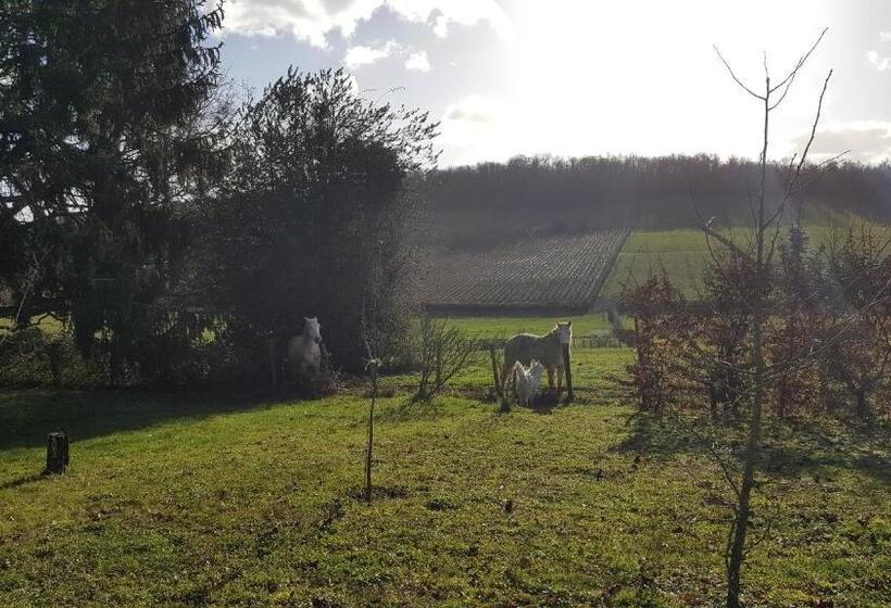 פנסיון La Cadole De Chardonnay