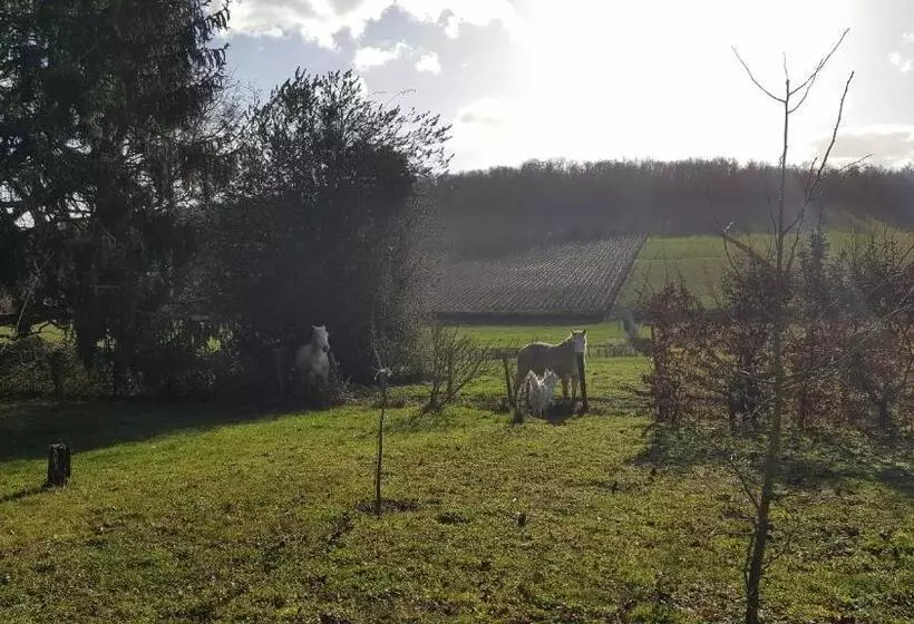 Majatalo La Cadole De Chardonnay