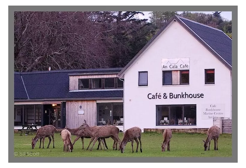 An Cala Cafe And Bunkhouse   Hostel