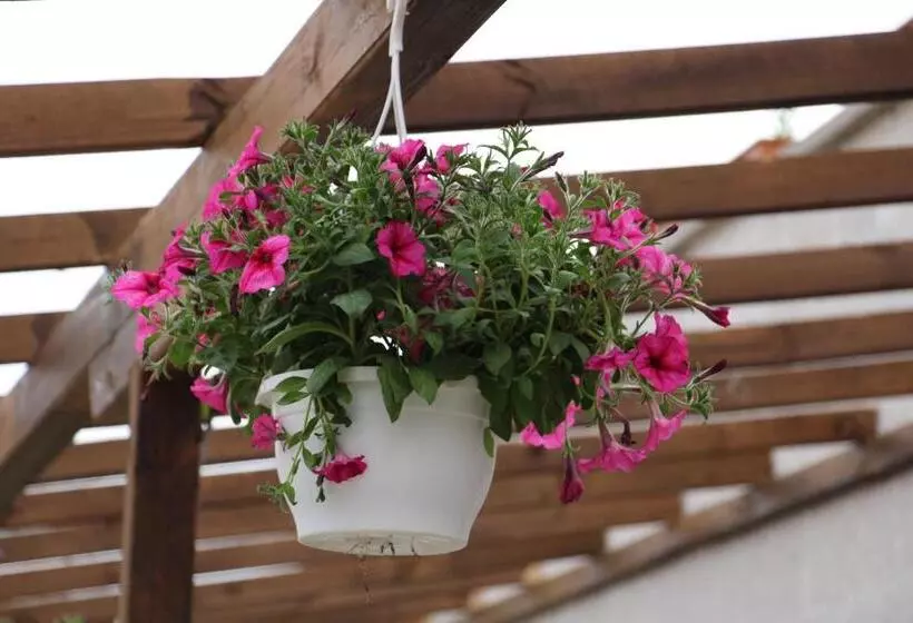 Hotelli Days Inn Cappadocia