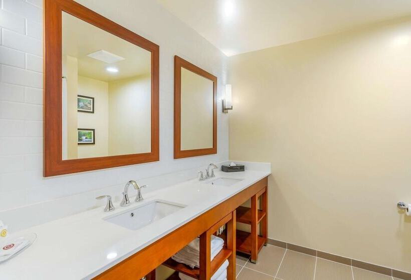 酒店 Comfort Suites Burlington Near I5