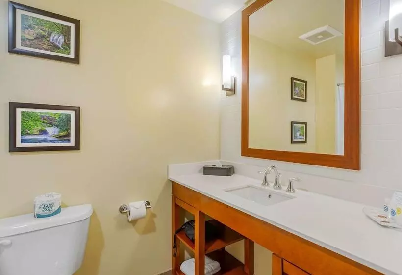 Hotelli Comfort Suites Burlington Near I5