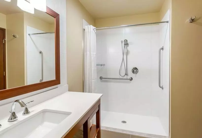 Hotelli Comfort Suites Burlington Near I5