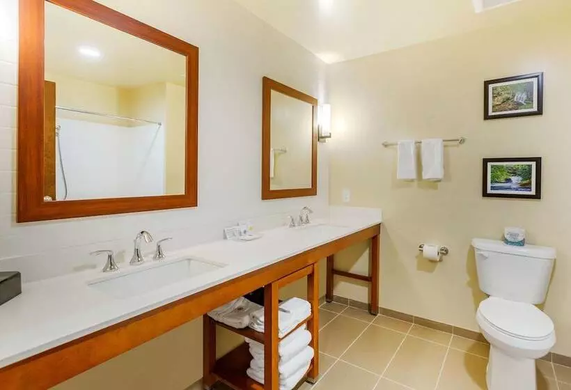 Hotelli Comfort Suites Burlington Near I5