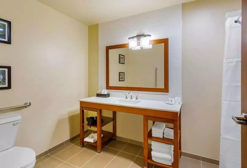 Hotelli Comfort Suites Burlington Near I5