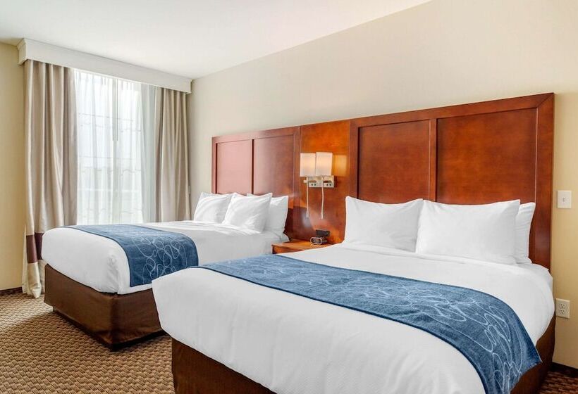 酒店 Comfort Suites Burlington Near I5
