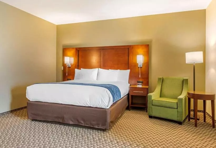 Hotelli Comfort Suites Burlington Near I5