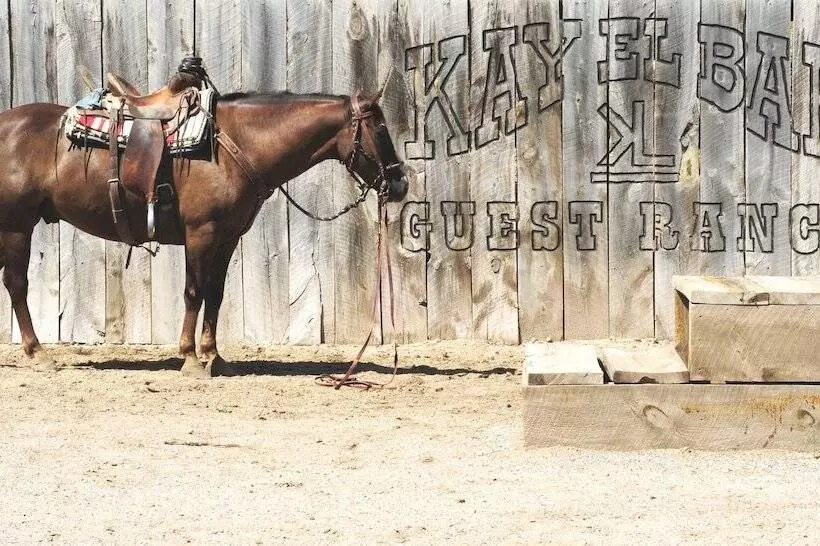 Maaseutuhotelli Kay El Bar Guest Ranch