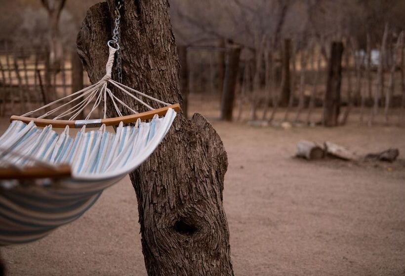 فندق ريفى Kay El Bar Guest Ranch