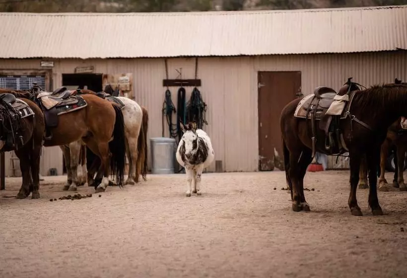 Maaseutuhotelli Kay El Bar Guest Ranch