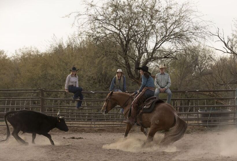 فندق ريفى Kay El Bar Guest Ranch