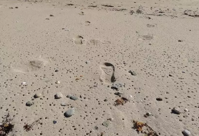 Les Roches Du Cabellou 150m De La Mer