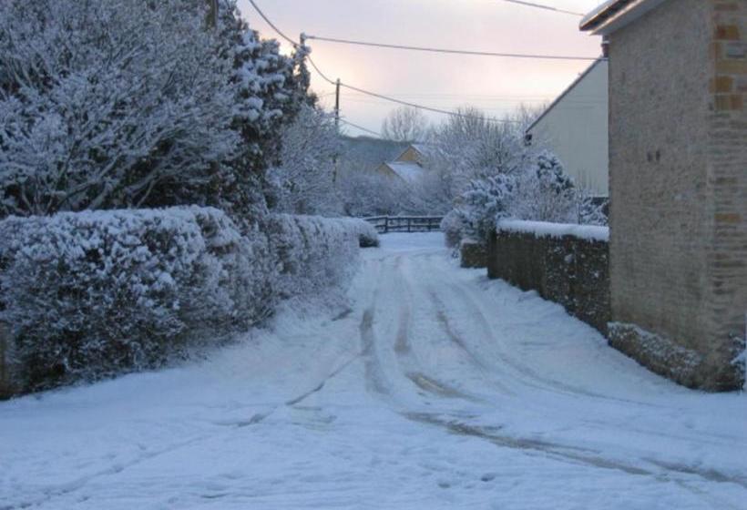 مبيت وإفطار Quiet Woman House