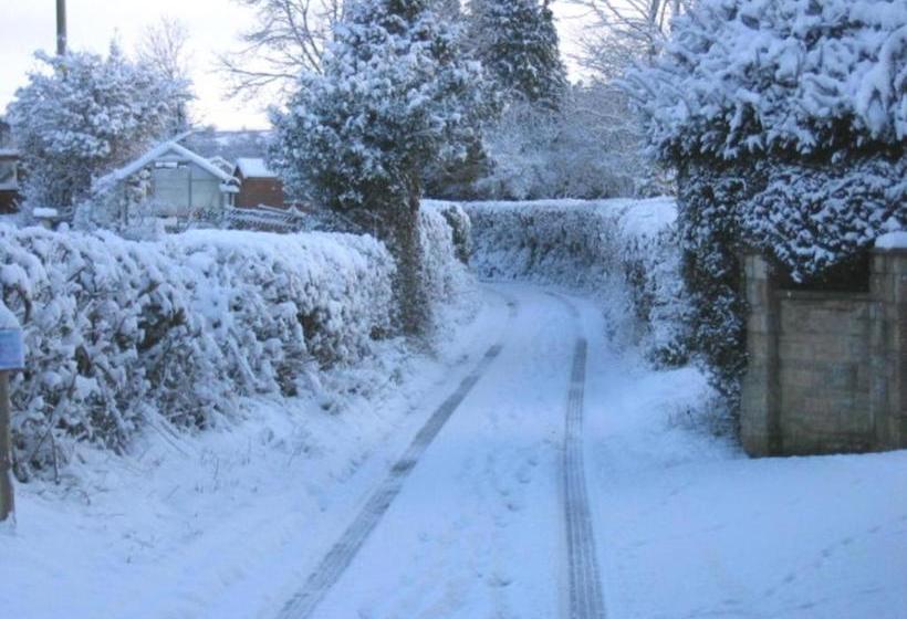 مبيت وإفطار Quiet Woman House