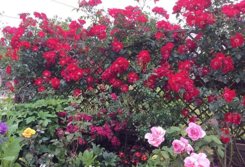 تختخواب و صبحانه Quiet Woman House