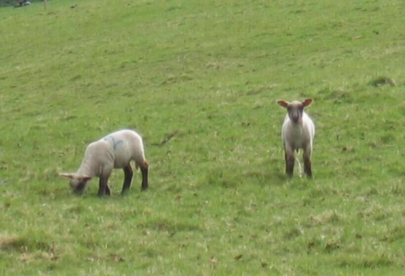 مبيت وإفطار Quiet Woman House