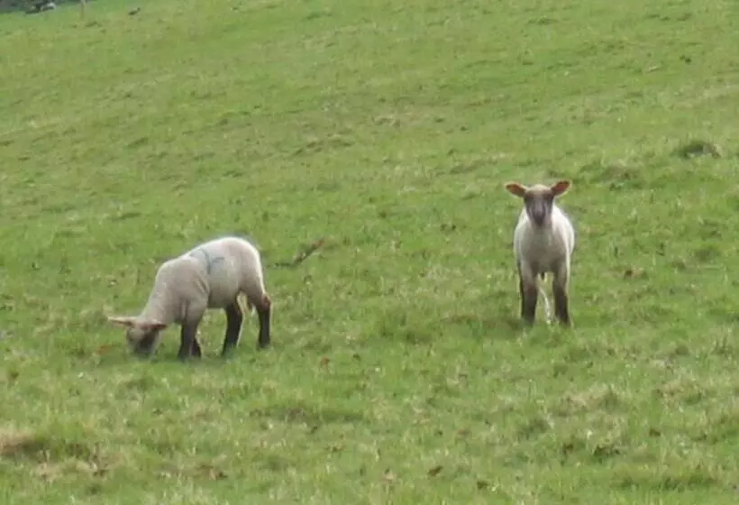 تختخواب و صبحانه Quiet Woman House