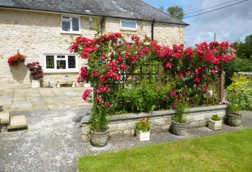 مبيت وإفطار Quiet Woman House