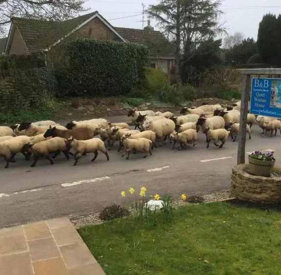 تختخواب و صبحانه Quiet Woman House