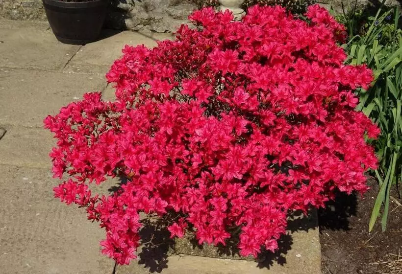 تختخواب و صبحانه Quiet Woman House