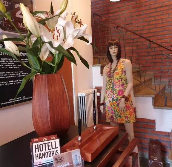 Hotelli L Hanöbris På Kivik