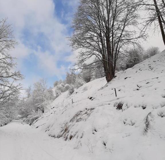 酒店 Chalet Du Bon Air