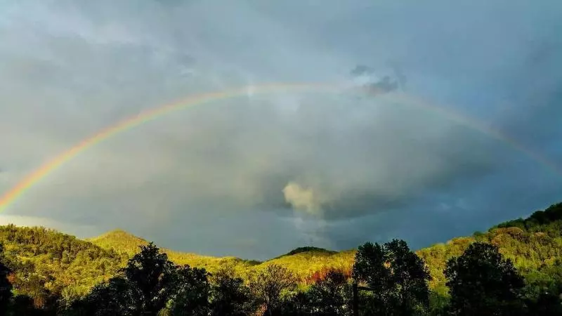 ホテル Rolling Hills Lodge