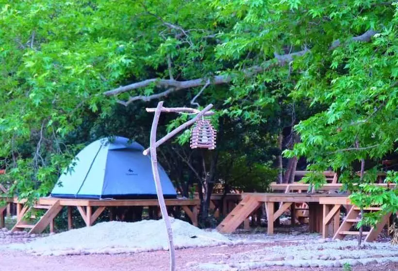ユースホステル Camp Meeting Point